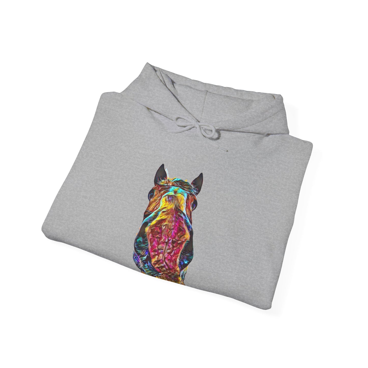 Big Dan Hooded Sweatshirt