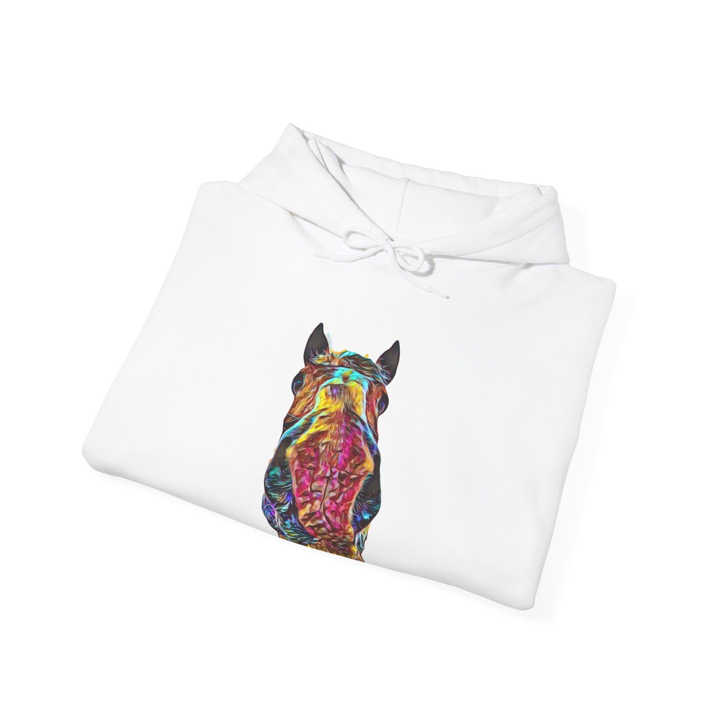 Big Dan Hooded Sweatshirt