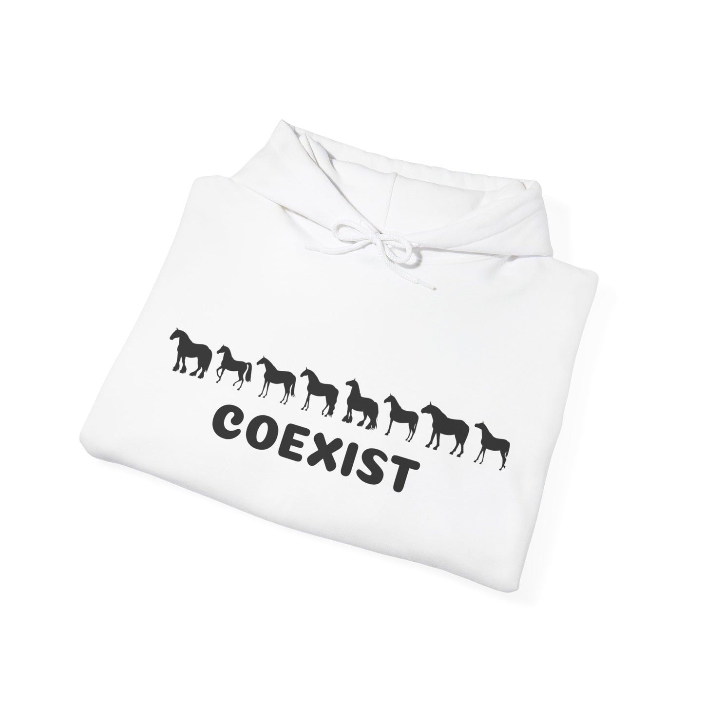 COEXIST Hooded Sweatshirt