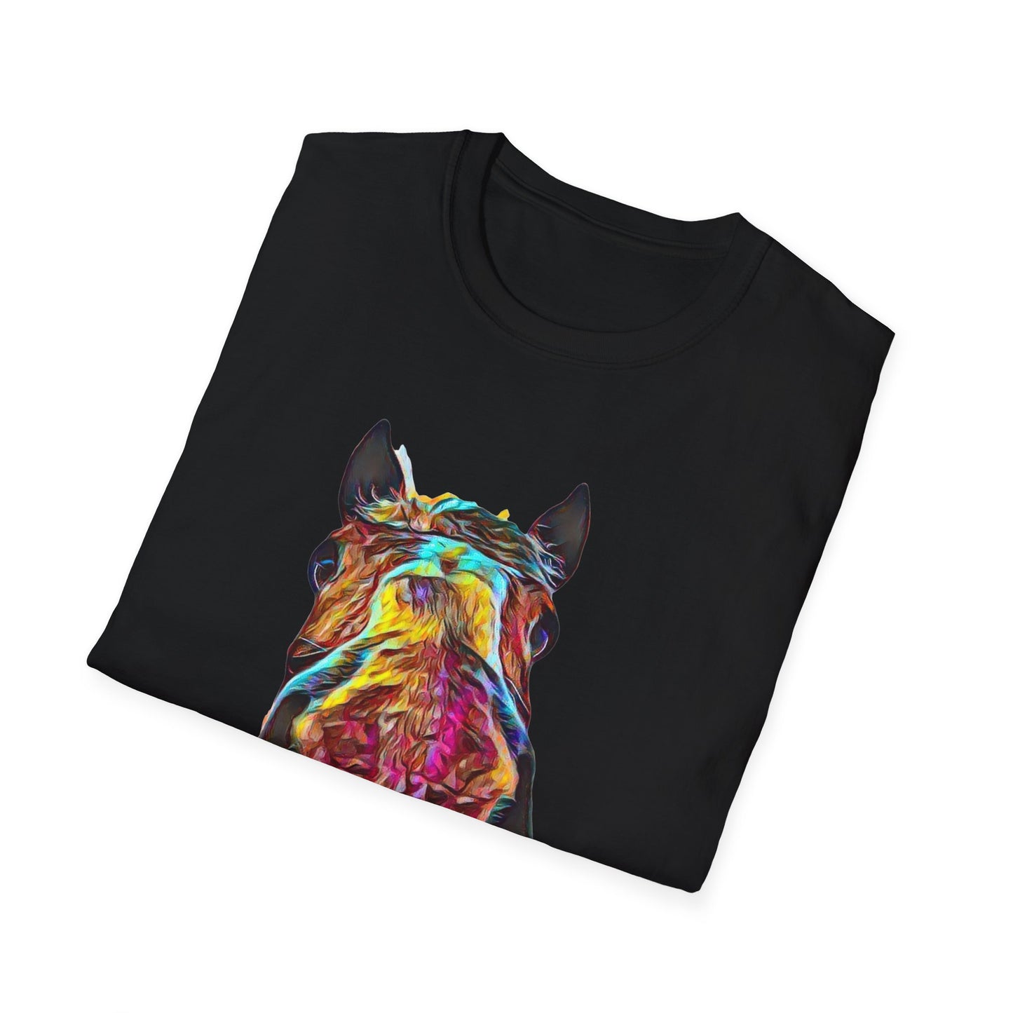 Big Dan T-Shirt