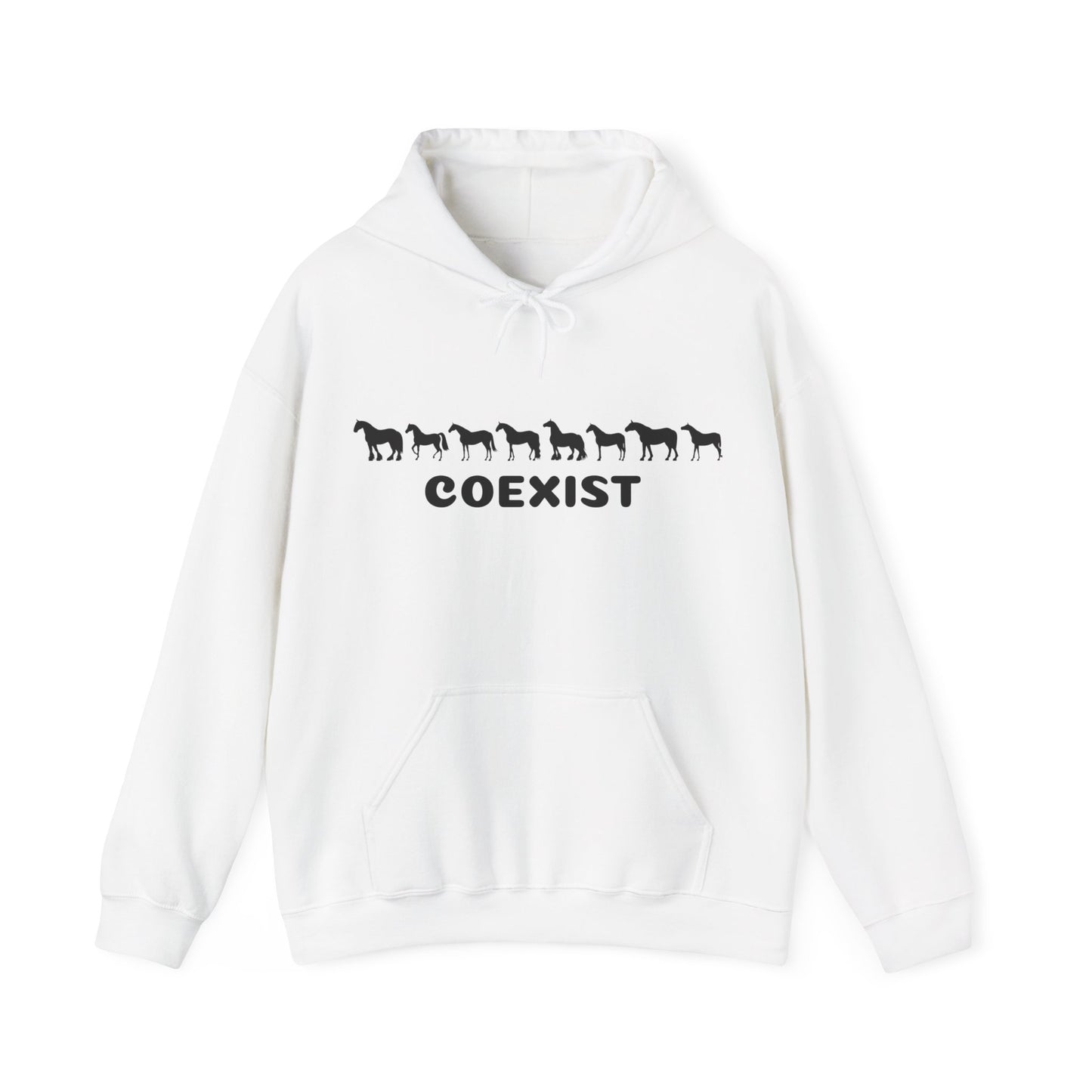 COEXIST Hooded Sweatshirt