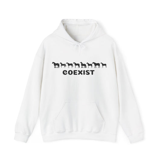 COEXIST Hooded Sweatshirt