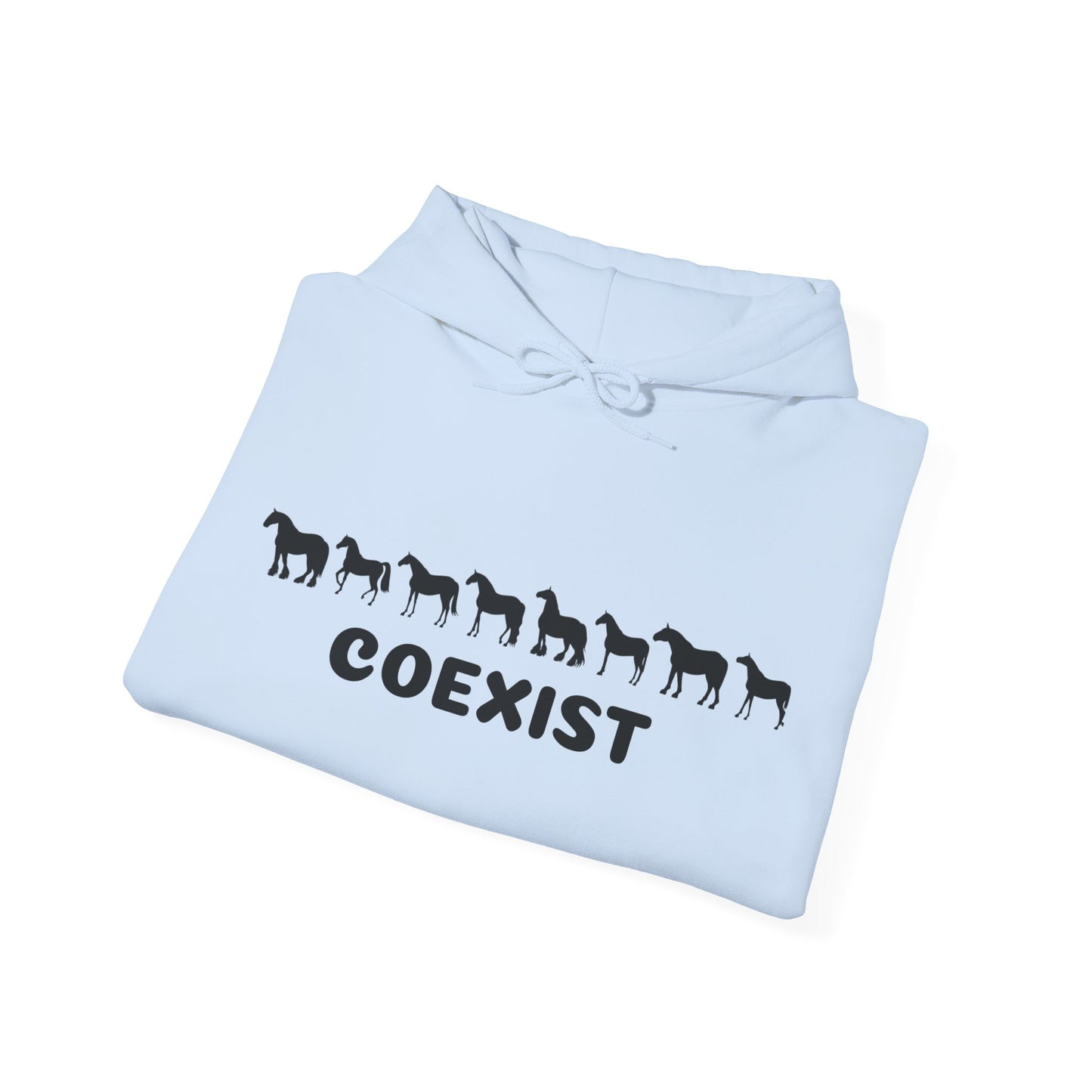COEXIST Hooded Sweatshirt
