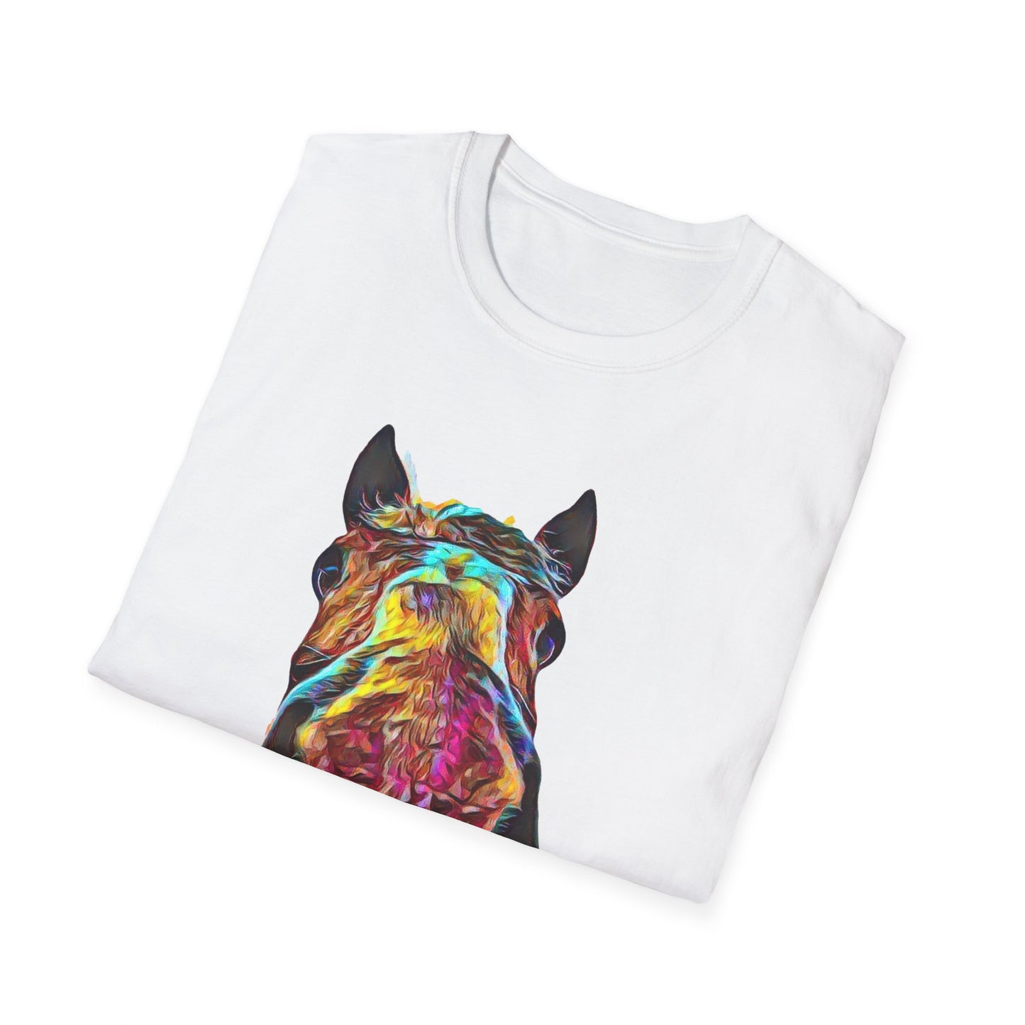 Big Dan T-Shirt
