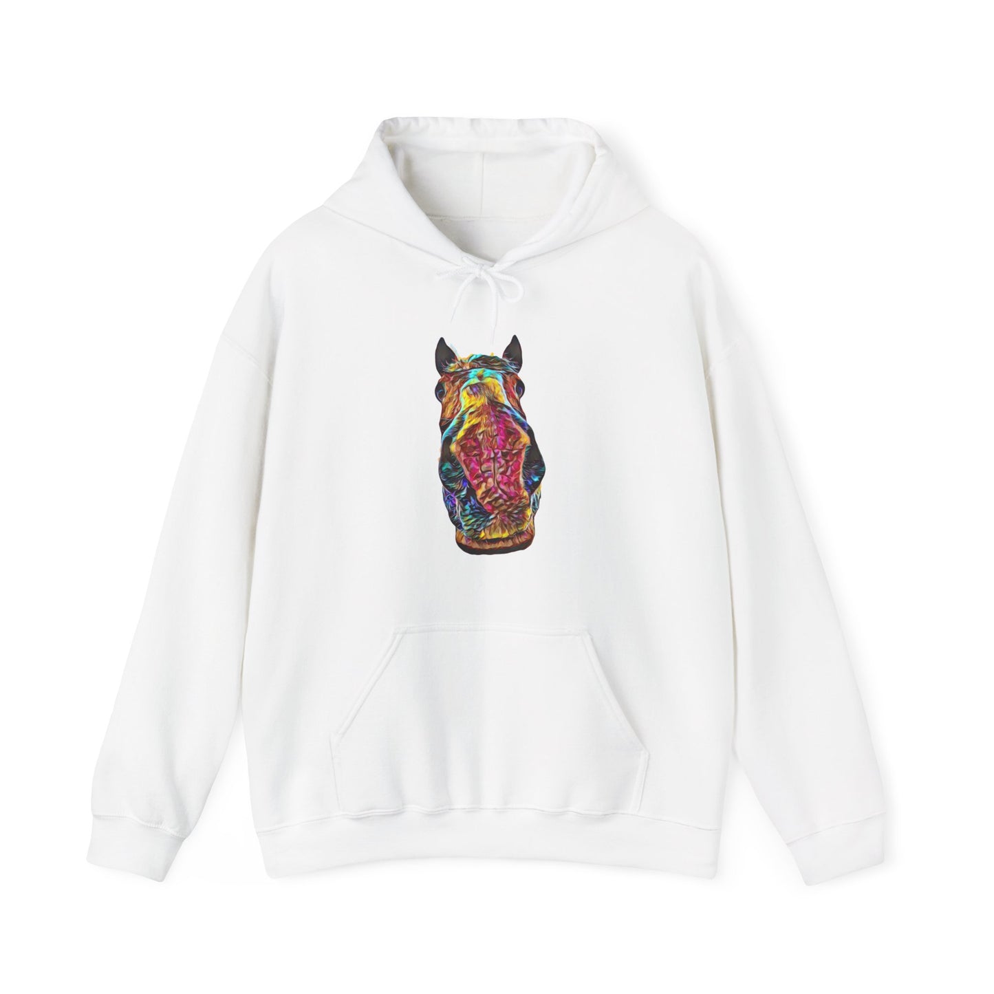 Big Dan Hooded Sweatshirt