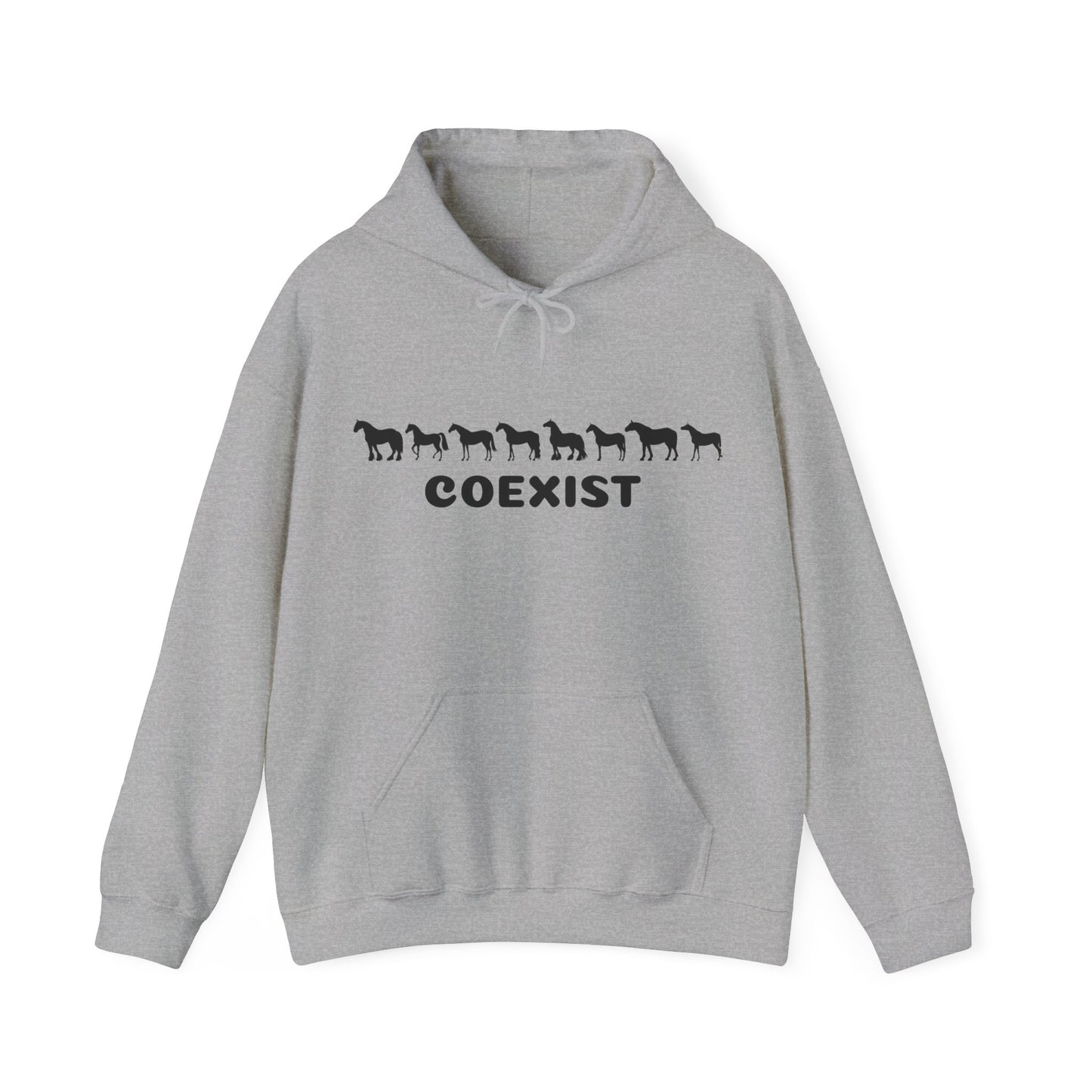 COEXIST Hooded Sweatshirt