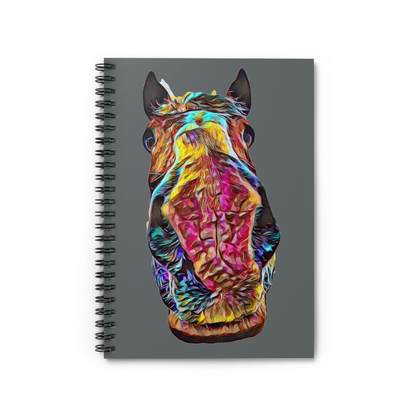 Big Dan Spiral Notebook - Ruled Line