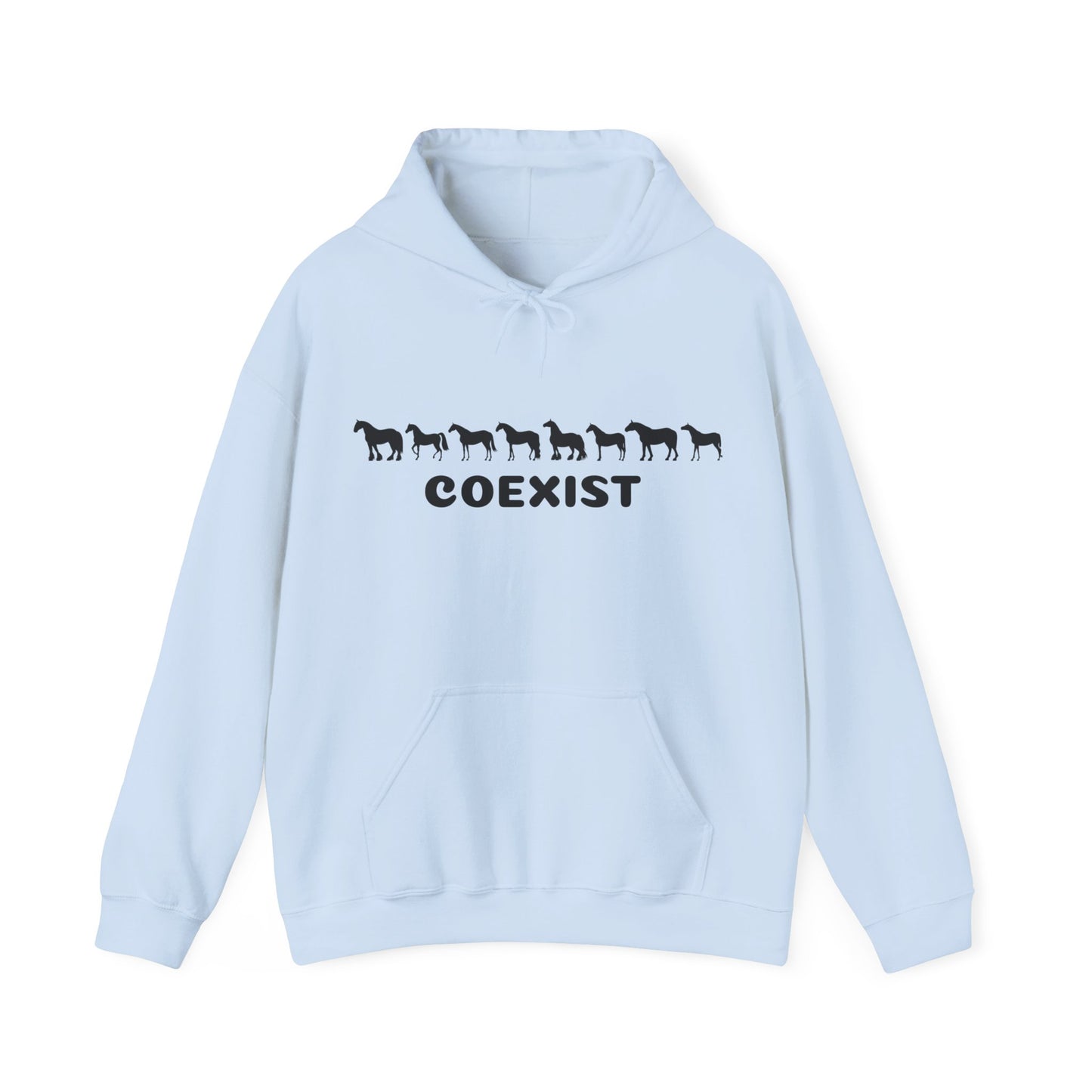 COEXIST Hooded Sweatshirt