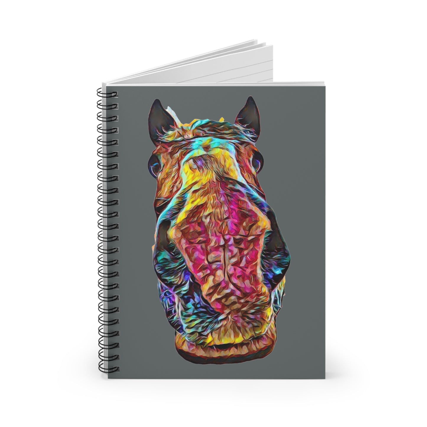 Big Dan Spiral Notebook - Ruled Line
